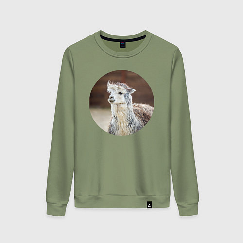 Женский свитшот Альпака / Авокадо – фото 1