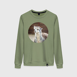 Женский свитшот Альпака