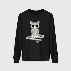 Женский свитшот Серебряная сова на кольце