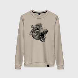 Свитшот хлопковый женский Кабан рычит, цвет: миндальный