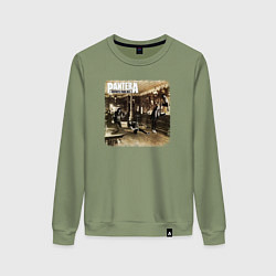 Свитшот хлопковый женский Pantera cowboys from hell, цвет: авокадо