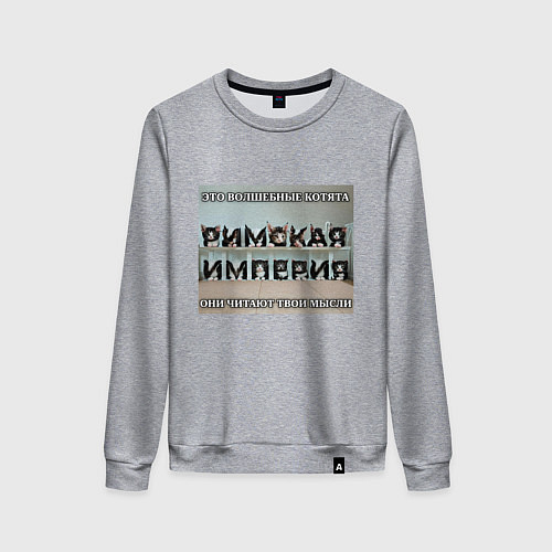 Женский свитшот Римская империя котами / Меланж – фото 1