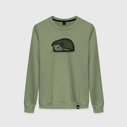 Женский свитшот Ежик притаился