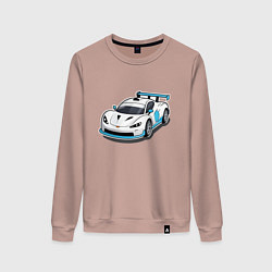 Женский свитшот Спортивная машинка