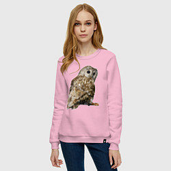 Свитшот хлопковый женский Серая сова, цвет: светло-розовый — фото 2