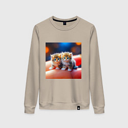 Женский свитшот Два милых пушистых котика сидят на ладони