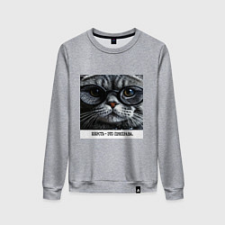 Женский свитшот Мем кот в очках: шерсть это приправа