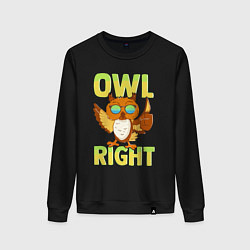 Свитшот хлопковый женский Owl right - каламбур отлично, цвет: черный