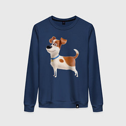 Женский свитшот Пес Макс