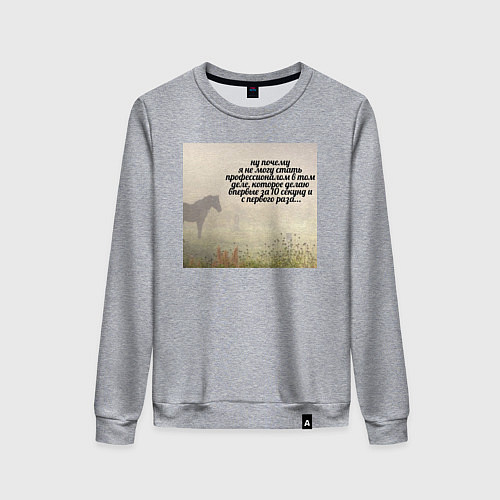 Женский свитшот Профессионал мем / Меланж – фото 1