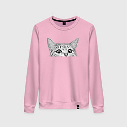 Свитшот хлопковый женский Кот ты уже спишь, цвет: светло-розовый