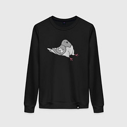 Женский свитшот Сидящий голубь