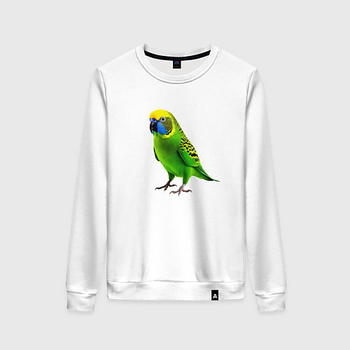 Женский свитшот Зеленый попугай / Белый – фото 1