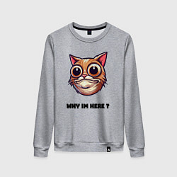 Женский свитшот Зачем я здесь