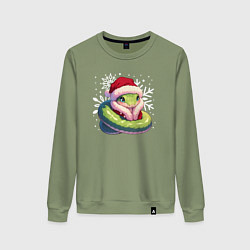 Женский свитшот Маленькая зелёная змейка