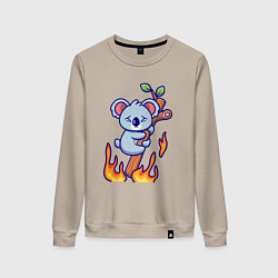 Женский свитшот Пожар у коалы