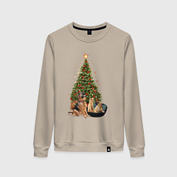 Свитшот хлопковый женский Домашние животные рядом с новогодней елкой, цвет: миндальный