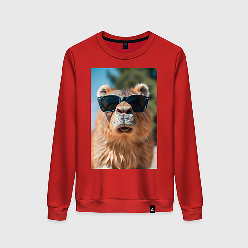 Женский свитшот Модная капибара в очках / Красный – фото 1