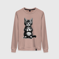 Свитшот хлопковый женский Котенок преступник разбил новогодний шарик, цвет: пыльно-розовый