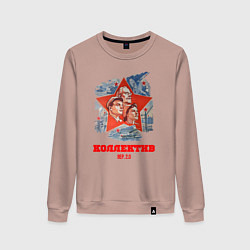 Свитшот хлопковый женский Коллектив версия 2, цвет: пыльно-розовый
