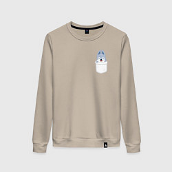 Свитшот хлопковый женский Wolf Chan in pocket, цвет: миндальный
