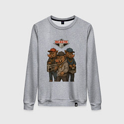 Свитшот хлопковый женский Beastie boys, цвет: меланж