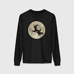 Свитшот хлопковый женский Пудель на метле и луна, цвет: черный