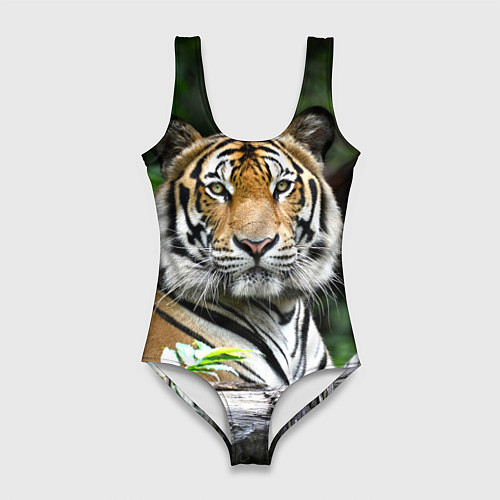 Женский купальник-боди Тигр в джунглях / 3D-принт – фото 1