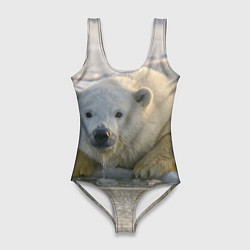 Женский купальник-боди Белый медведь ожидает