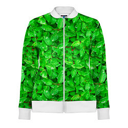 Олимпийка женская Зелёные листья - текстура, цвет: 3D-белый