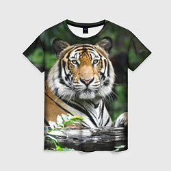 Футболка женская Тигр в джунглях, цвет: 3D-принт