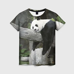 Футболка женская Большая уставшая панда, цвет: 3D-принт