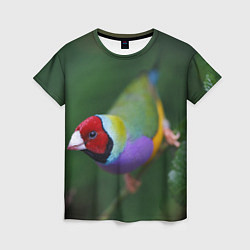 Женская футболка Яркая птичка попугай