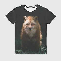 Женская футболка Хитрый лис на черном фоне