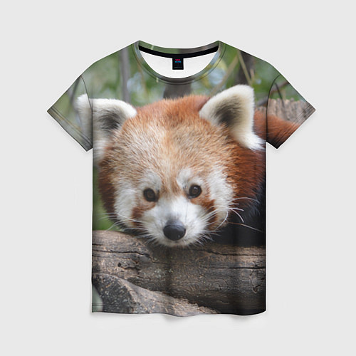 Женская футболка Красная панда / 3D-принт – фото 1