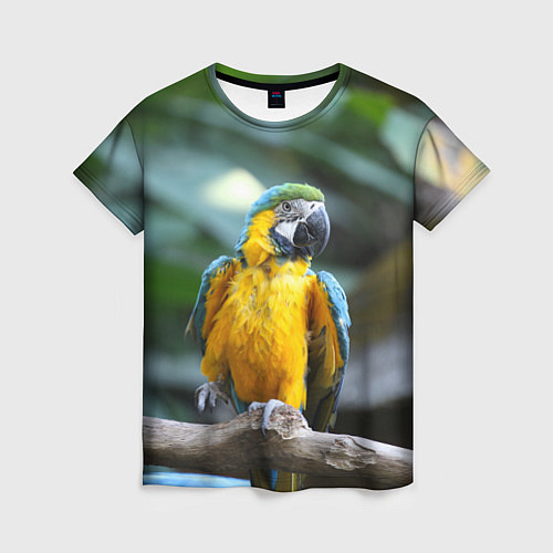 Женская футболка Красавец попугай / 3D-принт – фото 1