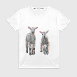 Женская футболка Ягнята овцы