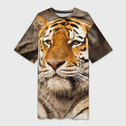 Женская длинная футболка Мудрый тигр