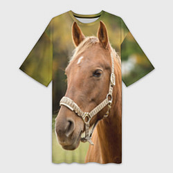 Женская длинная футболка Взгляд лошади