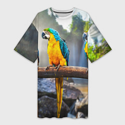 Женская длинная футболка Экзотические попугаи