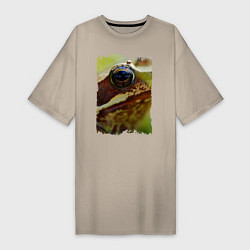 Женская футболка-платье Глаз лягушки
