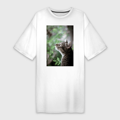 Женская футболка-платье Кот мечтает в задумчивости / Белый – фото 1