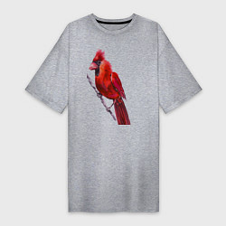 Женская футболка-платье Кардинал