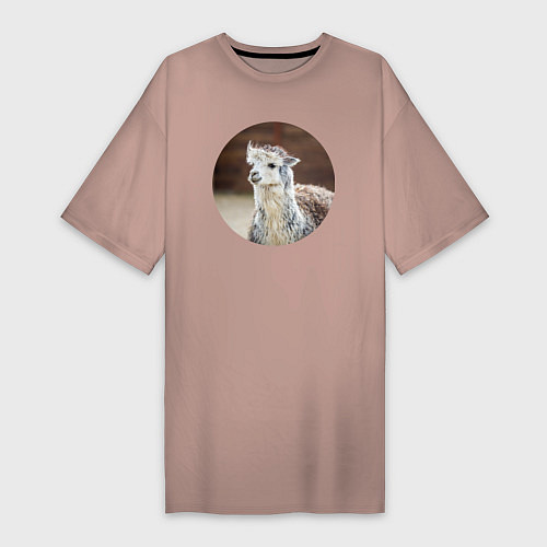 Женская футболка-платье Альпака / Пыльно-розовый – фото 1