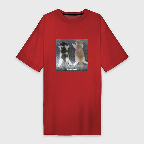 Женская футболка-платье Мемные коты умерчики / Красный – фото 1