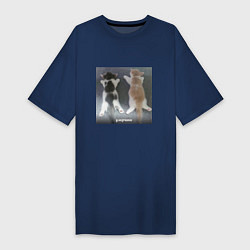 Женская футболка-платье Мемные коты умерчики