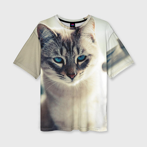 Женская футболка оверсайз Кот с Голубыми глазами / 3D-принт – фото 1