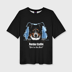 Футболка оверсайз женская Бордер-Колли Border-Collie, цвет: 3D-принт