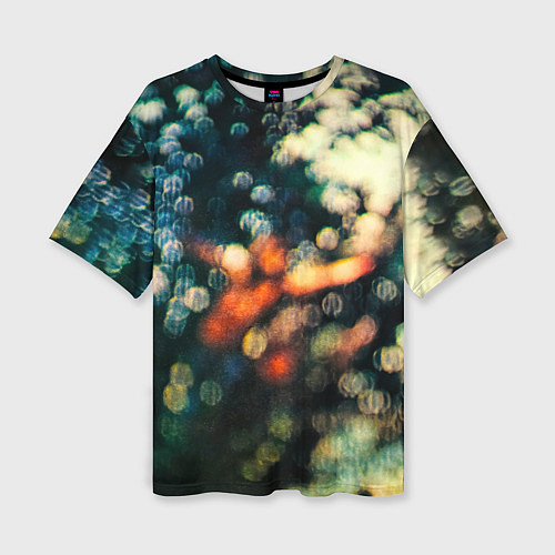 Женская футболка оверсайз Obscured by Clouds - Pink Floyd / 3D-принт – фото 1