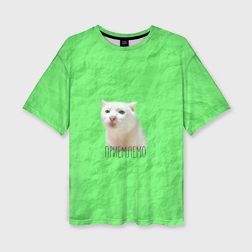 Женская футболка оверсайз Приемлемо кот мем / 3D-принт – фото 1